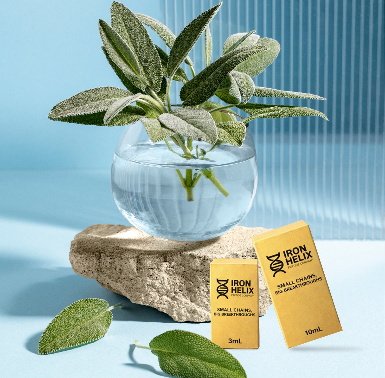 Home New beautiful still life with herbal medicine copy 1.png