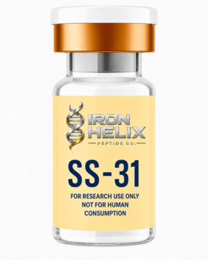 ss 31